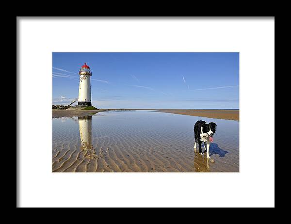 Pets Framed Print featuring the photograph Collie Dog On Beach by Photos By R A Kearton