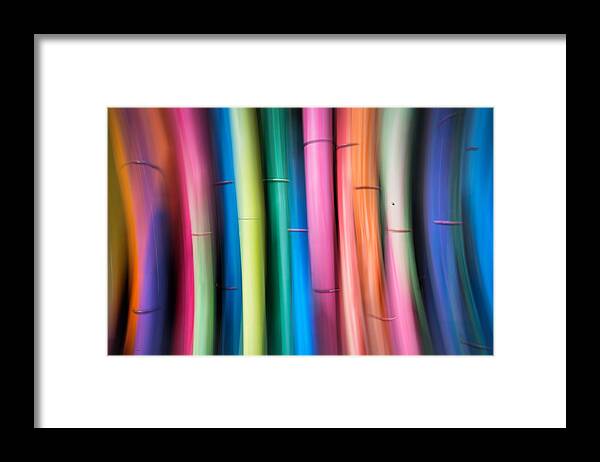 Color Framed Print featuring the photograph Color Medley by Aidong Ning