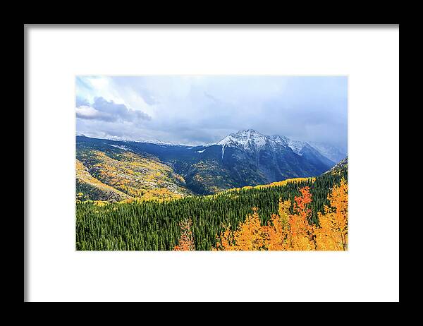 Aspen Tree Framed Print featuring the photograph Colorado Aspens and Mountains 3 by Dawn Richards