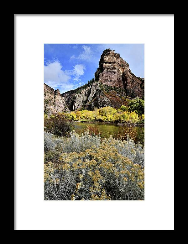  Framed Print featuring the photograph Colorado River Aspens in Color by Ray Mathis