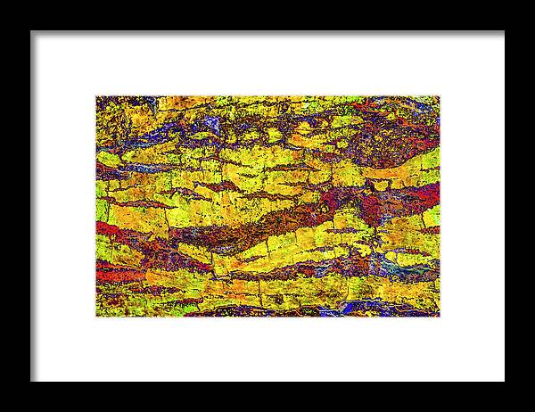 Colorful Bark 01 Framed Print featuring the photograph Colorful Bark 01 by Anita Vincze