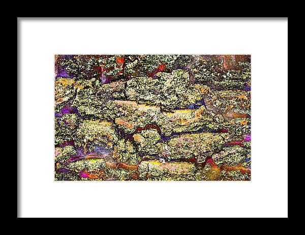 Colorful Bark 21 Framed Print featuring the photograph Colorful Bark 21 by Anita Vincze