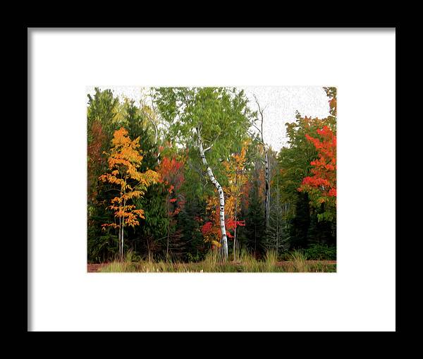 Birch Framed Print featuring the digital art Colorful Birch Trees Painting by Sandra J's