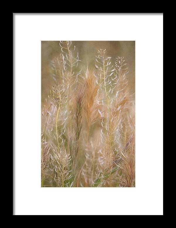 Grasses Framed Print featuring the photograph Colorful Grasses by Leda Robertson