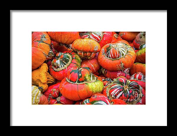 Pumpkin Framed Print featuring the photograph Colorful pumpkins by Lyl Dil Creations