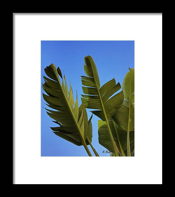 Landscape Framed Print featuring the mixed media Colors of the Tropics 300 by Sharon Williams Eng