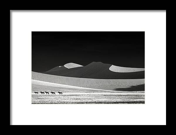 Oryx Framed Print featuring the photograph Come On Guys We Go Away by Mathilde Guillemot