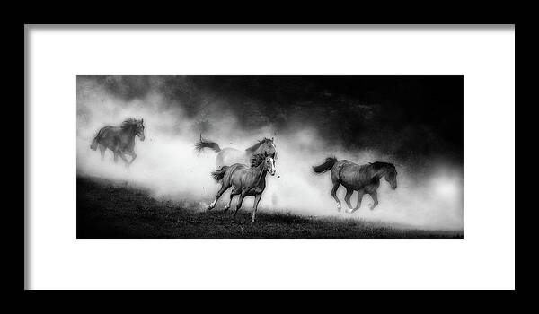 Horses Framed Print featuring the photograph Coming Home by Ryan Courson