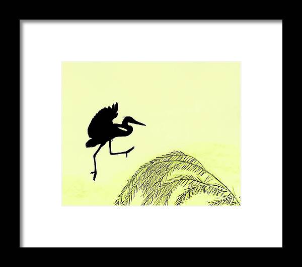Egret Framed Print featuring the drawing Coming In For A Landing by D Hackett
