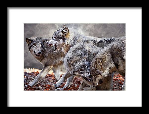 Wolf Framed Print featuring the photograph Coming Storm by Jeannee Gannuch