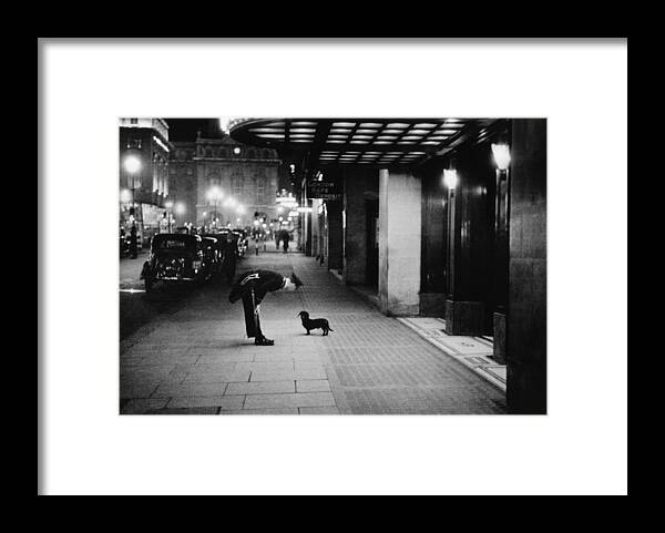 Piccadilly Circus Framed Print featuring the photograph Commissionaires Dog by Kurt Hutton
