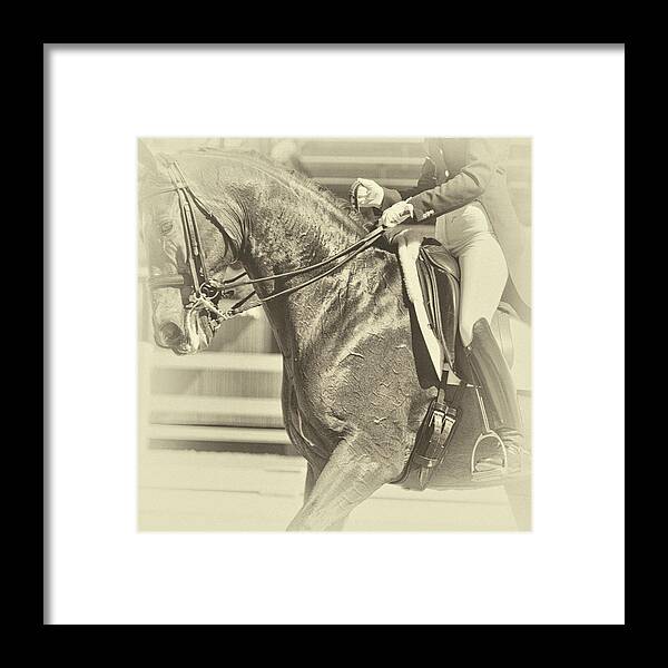 Arena Framed Print featuring the photograph Communication by JAMART Photography