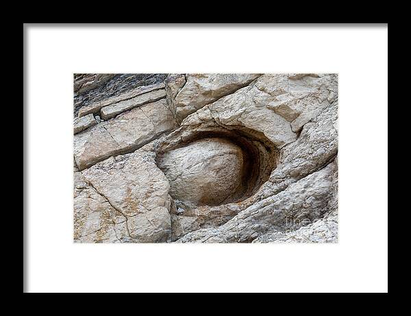 America Framed Print featuring the photograph Concretion Of Sand And Iron On Dinosaur Ridge by Jim West/science Photo Library