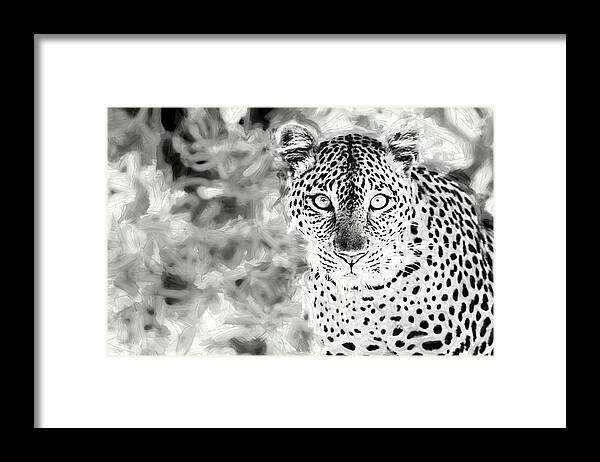 Leopard Framed Print featuring the photograph Contact by Gaye Bentham