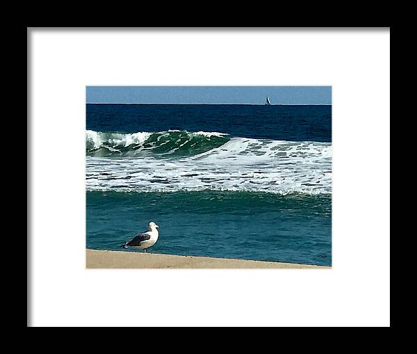 Seagull Framed Print featuring the photograph Contemplation by Tom Johnson