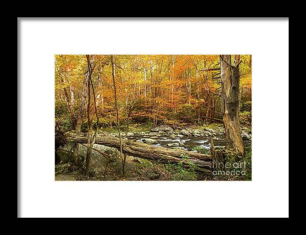 Fall Framed Print featuring the photograph Cool Air Autumn Leaves by Mike Eingle