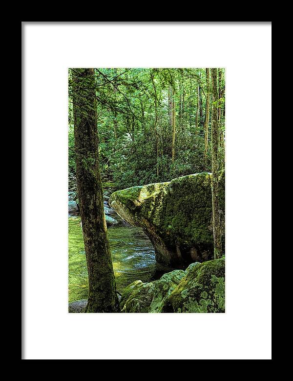 Relaxing Framed Print featuring the photograph Cool Water at Mossy Rock Smokey Mountains National Park by T Lynn Dodsworth