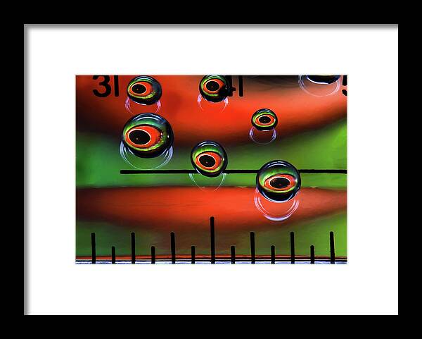 Macro Framed Print featuring the photograph Cooties on a Protractor by Jim Painter