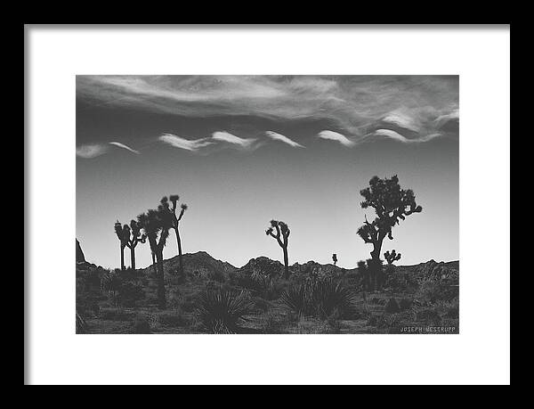 Cloud Framed Print featuring the photograph Cotton Sky on Joshua Trees by Joseph Westrupp