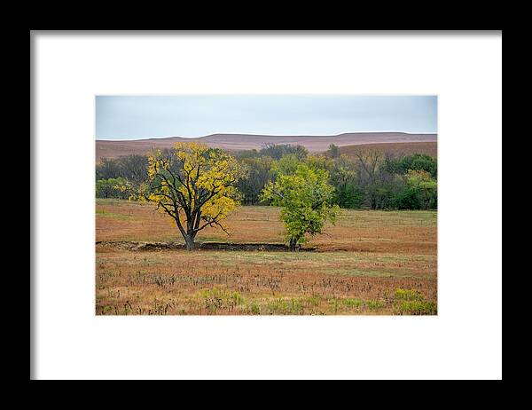Brown Framed Print featuring the photograph Cottonwood Trees In The Flint Hills by Michael Scheufler