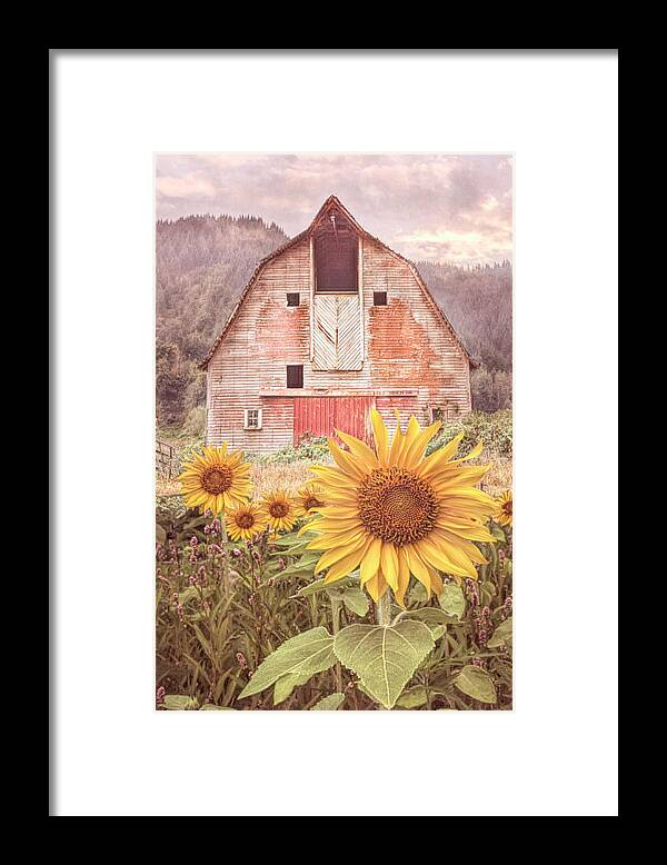 Barns Framed Print featuring the photograph Country Rustic by Debra and Dave Vanderlaan