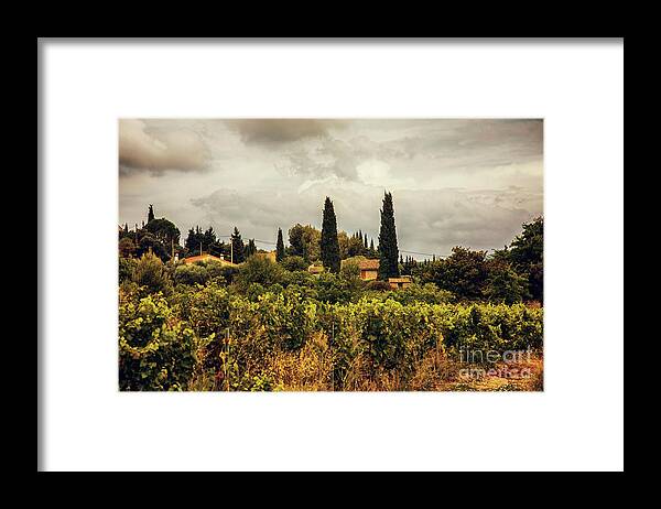 Ancient Framed Print featuring the photograph countryside near La Castelet by Ariadna De Raadt