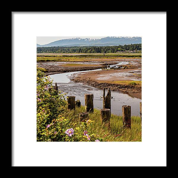 Landscapes Framed Print featuring the photograph Courtenay River Estuary by Claude Dalley