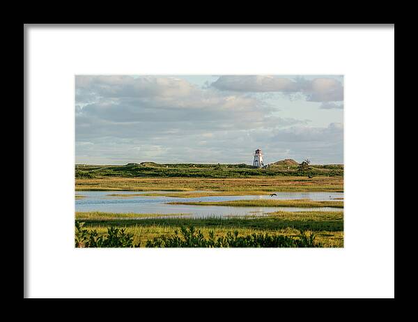 Stanhope Framed Print featuring the photograph Cove Head Lighthouse across Wetlands by Douglas Wielfaert