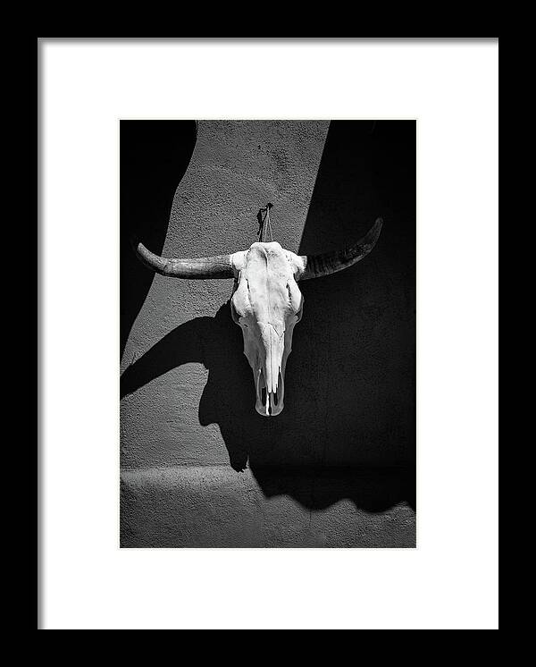 2019 Framed Print featuring the photograph Cow Skull - black and white by Tim Stanley