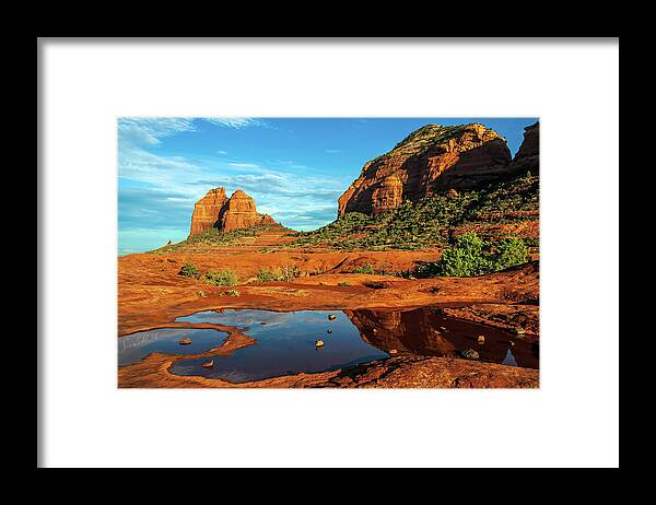 Arizona Framed Print featuring the photograph Cowpie 07-101 by Scott McAllister