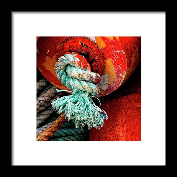 Buoy Framed Print featuring the photograph Crab Pot Buoy Detail by Carol Leigh