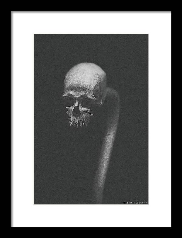 Skull Framed Print featuring the photograph Cranium Ophidian Ashen by Joseph Westrupp