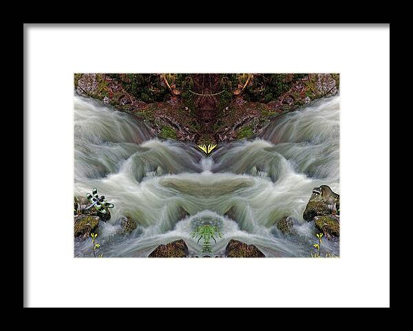 Nature Art Framed Print featuring the photograph Creeklife #2 with The Butterfly, Dragonfly an Raccoon by Ben Upham III
