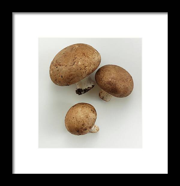 White Background Framed Print featuring the photograph Crimini Mushrooms by David Bishop Inc.