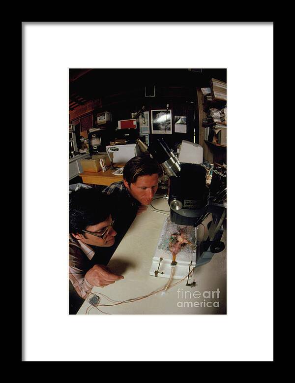 Experiment Framed Print featuring the photograph Cryonicists At Trans Time Inc by Peter Menzel/science Photo Library