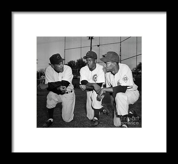 People Framed Print featuring the photograph Cubs Manager Talking With Players by Bettmann