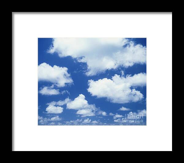 Cloud Framed Print featuring the photograph Cumulus Clouds Against A Blue Sky by John Mead/science Photo Library