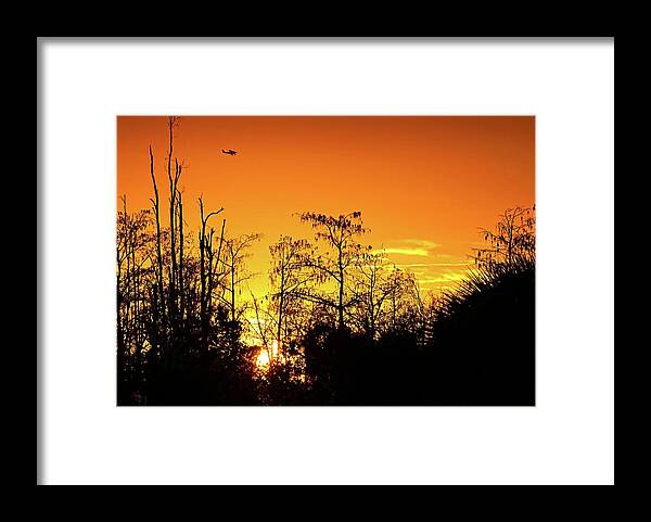 Airplane Framed Print featuring the photograph Cypress Swamp Sunset 3 by Steve DaPonte
