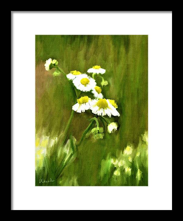 Daisies Framed Print featuring the painting Daisies by Diane Chandler