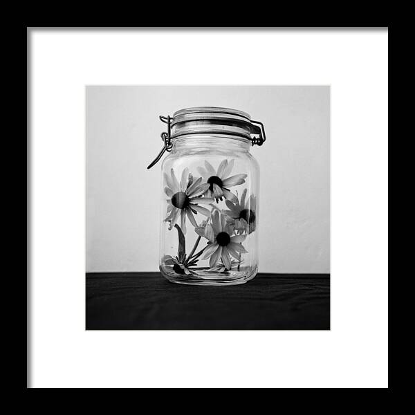 Fragility Framed Print featuring the photograph Daisies In A Jar by Daniel J. Grenier