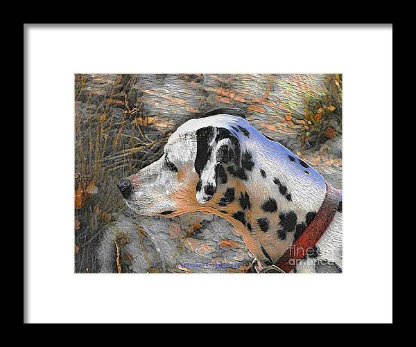 Dalmatian Dog Framed Print featuring the digital art Dalmatian dog by Annie Gibbons