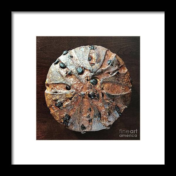 Bread Framed Print featuring the photograph Dark Chocolate Chip, Walnut, Whole Grain Rye Sourdough 2 by Amy E Fraser