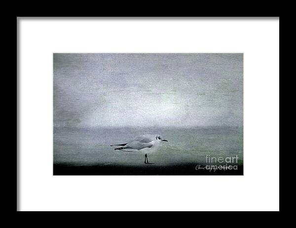 One Framed Print featuring the photograph Dawn on the Coast by Chris Armytage