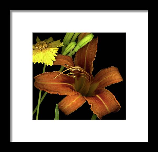 Day Lily And Coreopsis Framed Print featuring the photograph Day Lily And Coreopsis by Susan S. Barmon