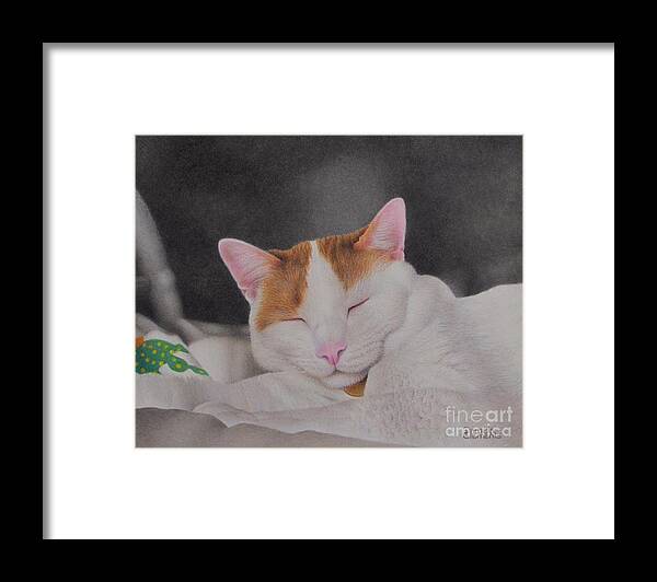 Cat Framed Print featuring the drawing Daydreamer by Pamela Clements