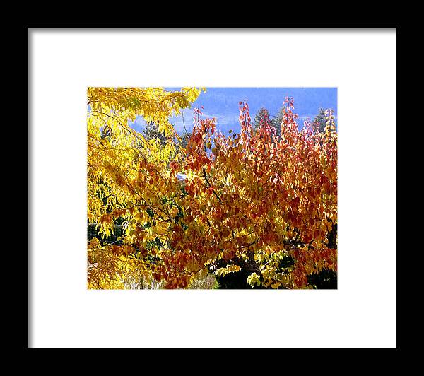 Fall Framed Print featuring the photograph Days Of Autumn 30 by Will Borden