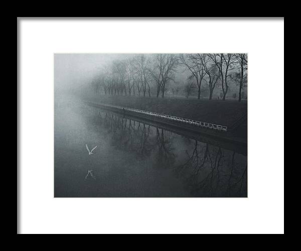 Mist Framed Print featuring the photograph Days Of Mist by Nicoleta Gabor