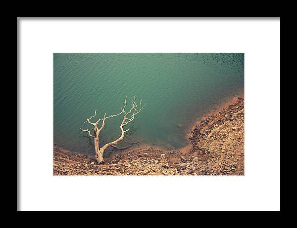 Scenics Framed Print featuring the photograph Dead Tree by Jimmy Ll Tsang
