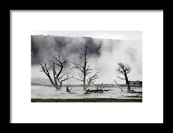 Dawn Framed Print featuring the photograph Dead Trees On Hot Springs by Piriya Photography