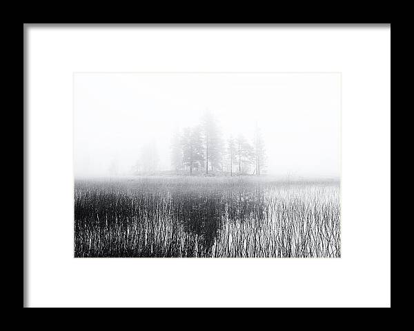 Swamp Framed Print featuring the photograph Deep Bog by Julien Oncete
